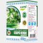 Ceapa verde