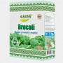brocoli_2