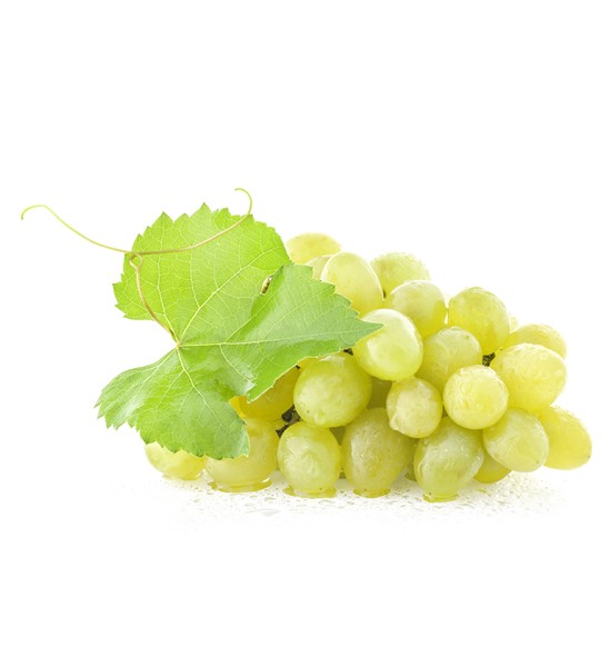 Muscat